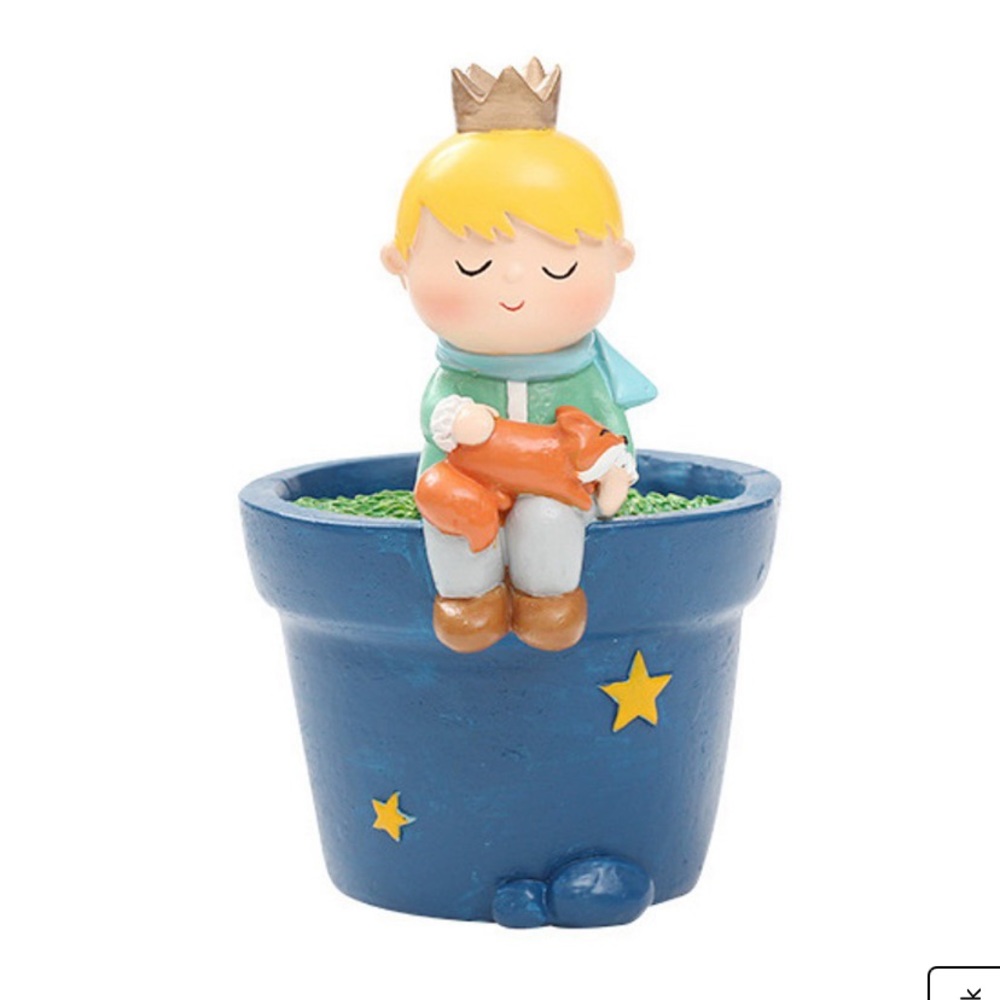 The Little Prince Succulent Pot ⭐️ ☄️